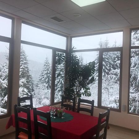 Genco Hotel Mountain View 普雷代亚尔 外观 照片