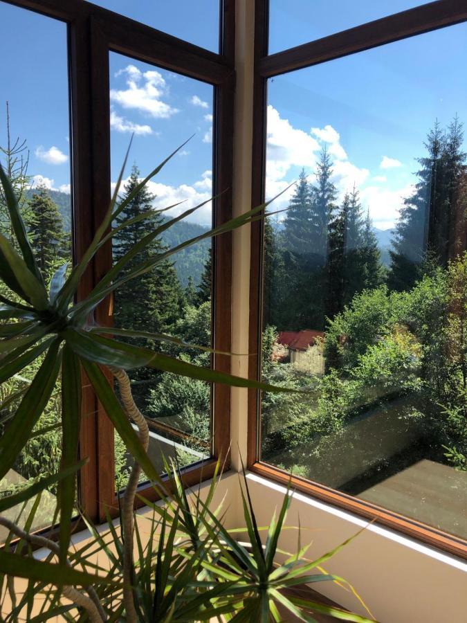 Genco Hotel Mountain View 普雷代亚尔 外观 照片