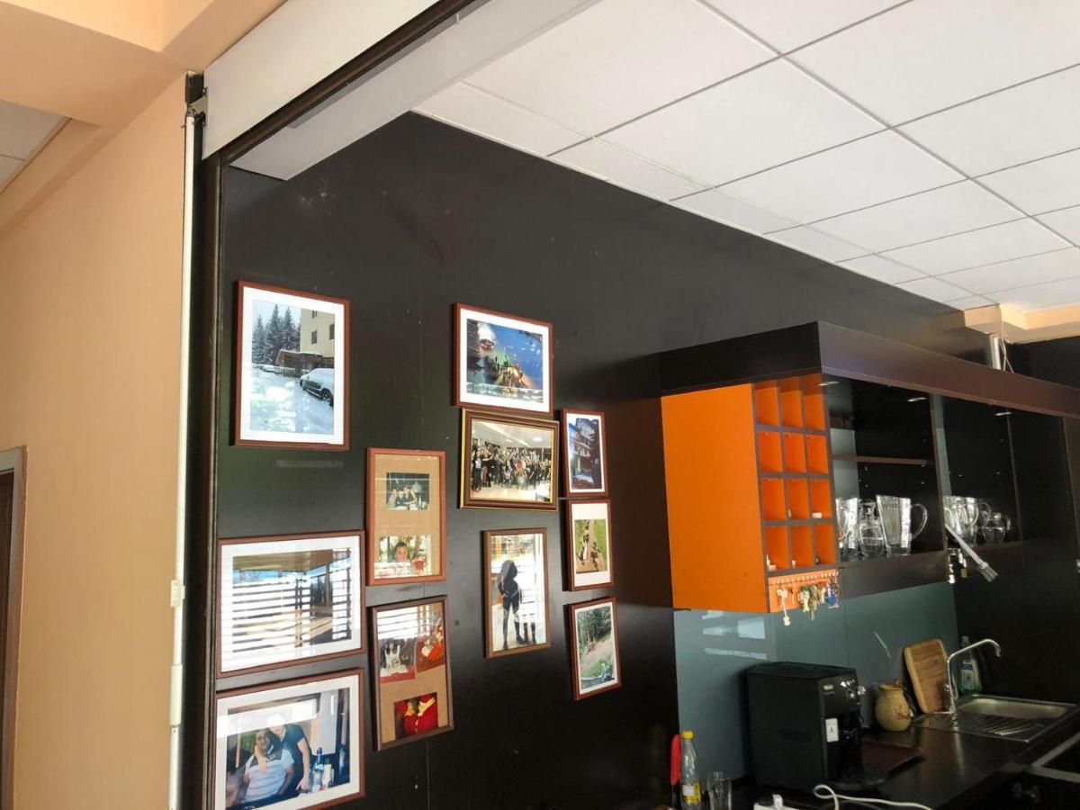 Genco Hotel Mountain View 普雷代亚尔 外观 照片