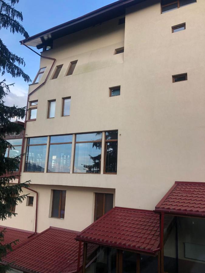 Genco Hotel Mountain View 普雷代亚尔 外观 照片