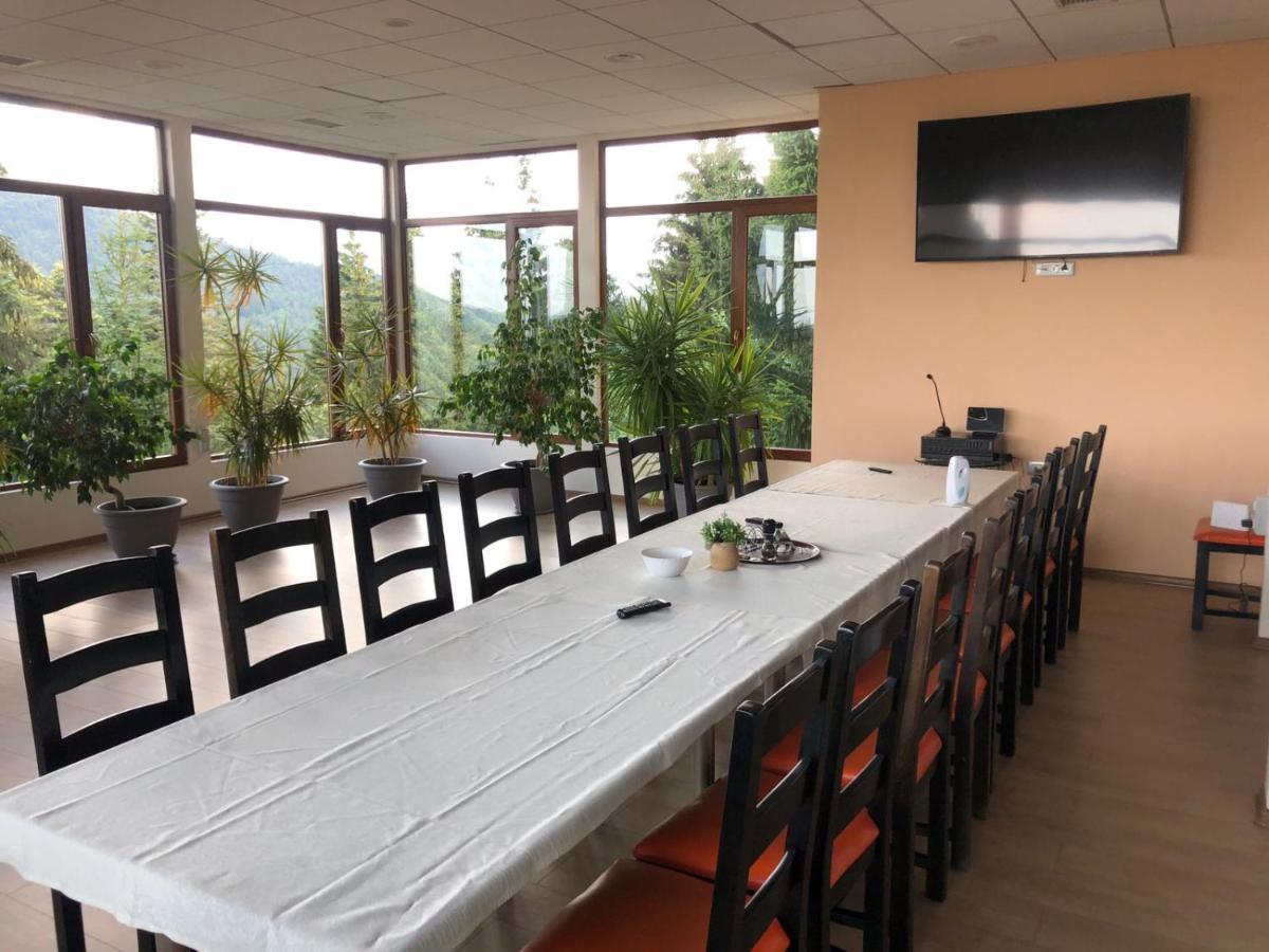 Genco Hotel Mountain View 普雷代亚尔 外观 照片