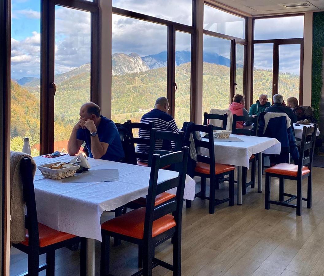 Genco Hotel Mountain View 普雷代亚尔 外观 照片