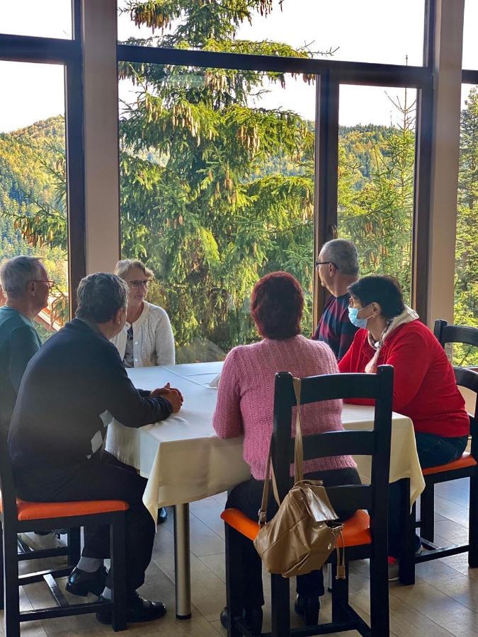 Genco Hotel Mountain View 普雷代亚尔 外观 照片