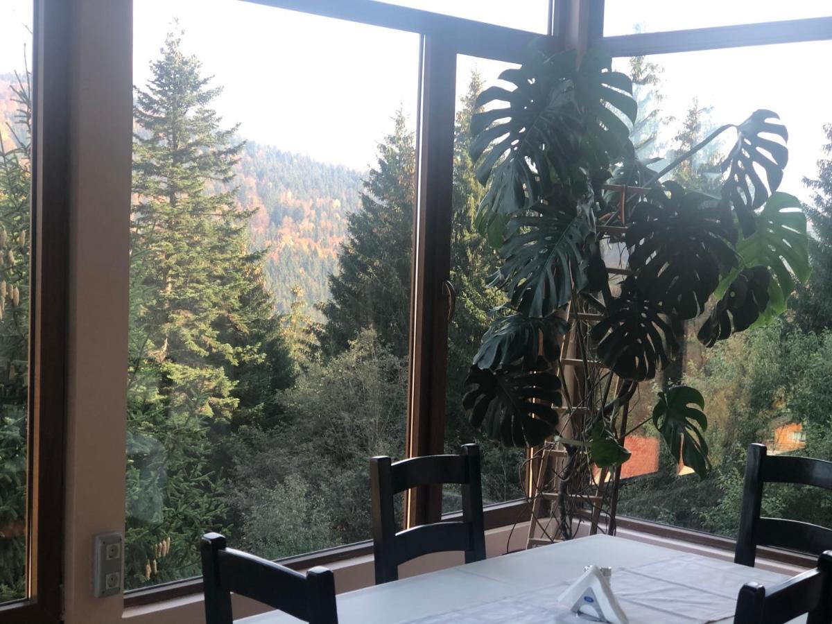 Genco Hotel Mountain View 普雷代亚尔 外观 照片