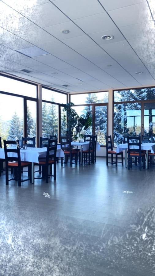 Genco Hotel Mountain View 普雷代亚尔 外观 照片
