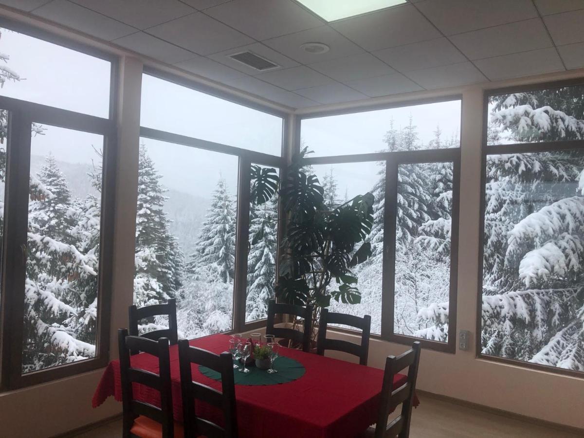 Genco Hotel Mountain View 普雷代亚尔 外观 照片